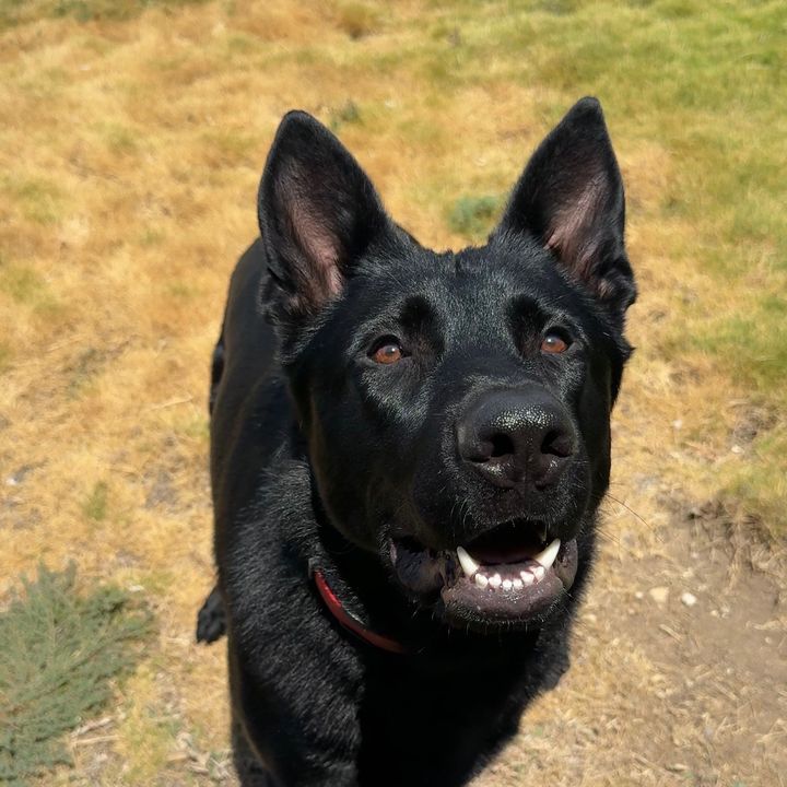 Lukas