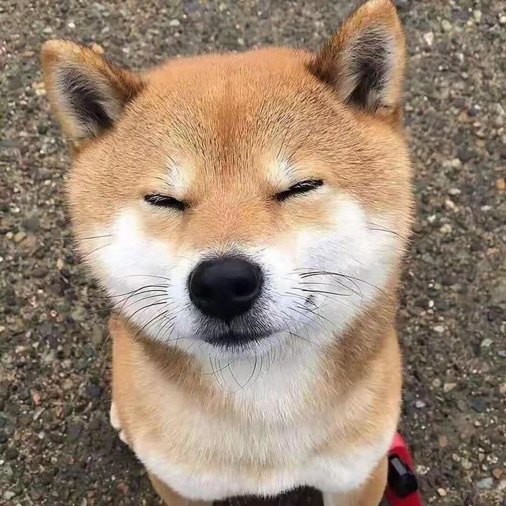 そよ風の便り