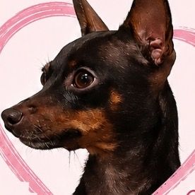 ajuda.kiki