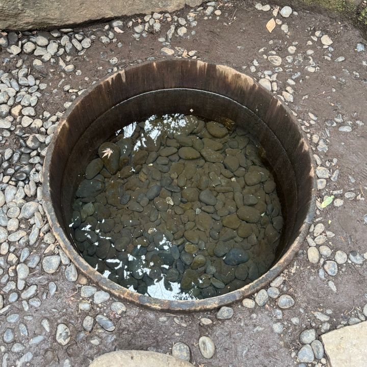 ニッチモが
