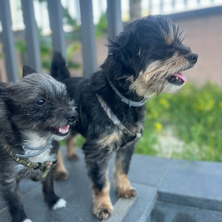 Carol & Malù 🐾