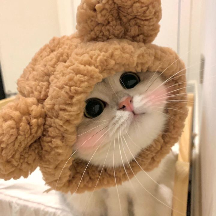 ほっぺたまる