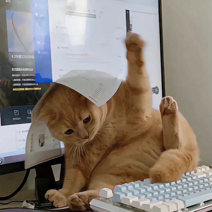 うにょうにょ猫