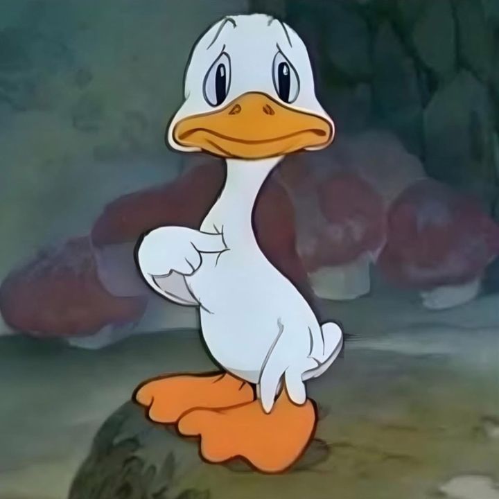 PATITO FEO