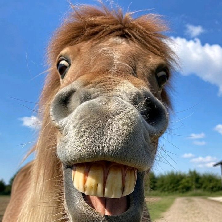 ....