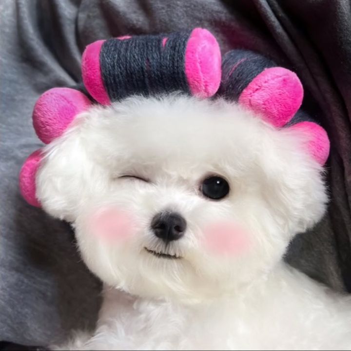 higeu6njugyqxt