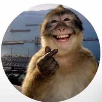 Você sabia😎🧐🤨