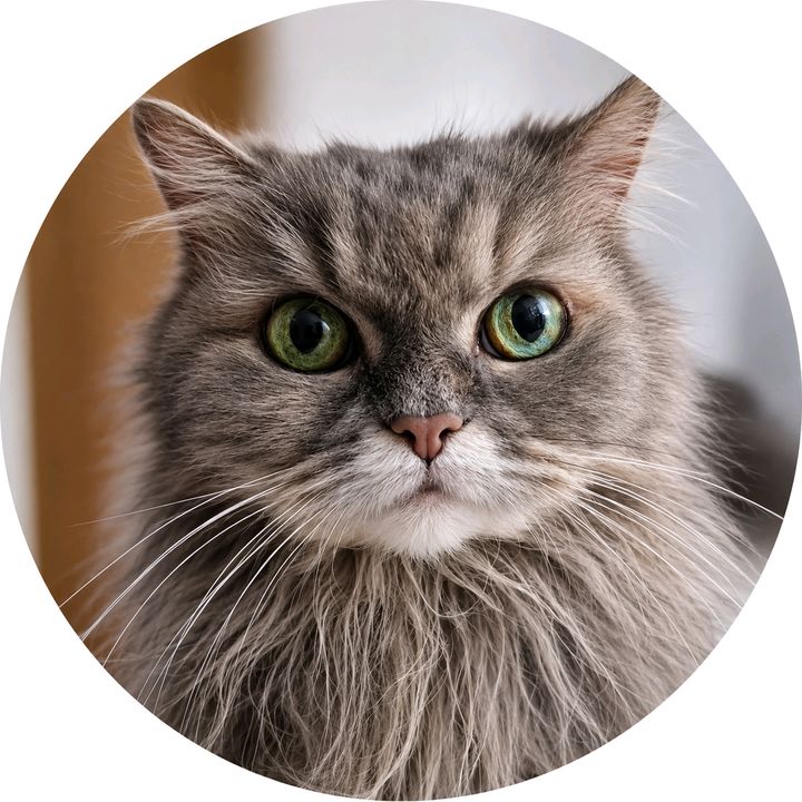 Lillymit20