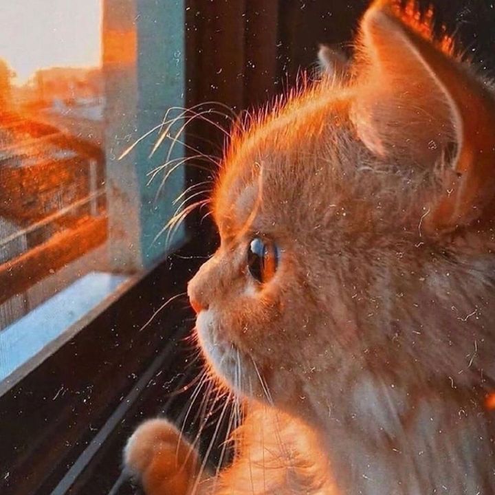 ericdqtloj9