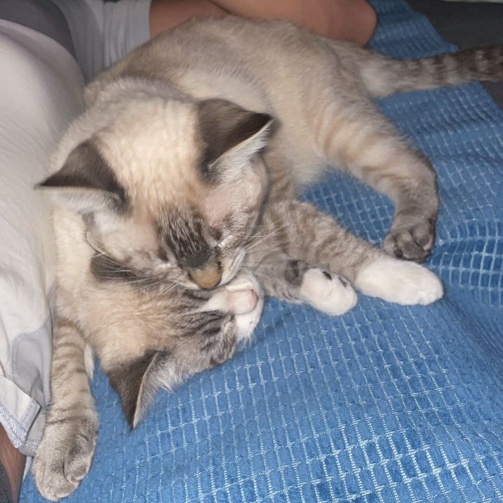 Cloe y Wanda