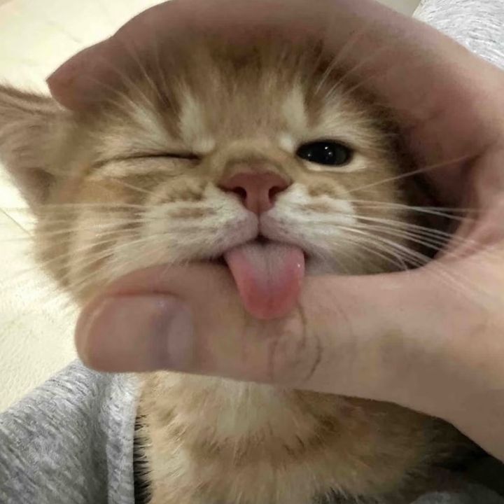Awekkl