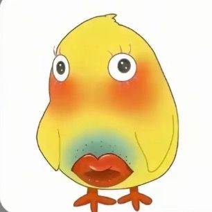 丑鸡
