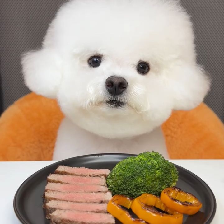 暮らしの時短部