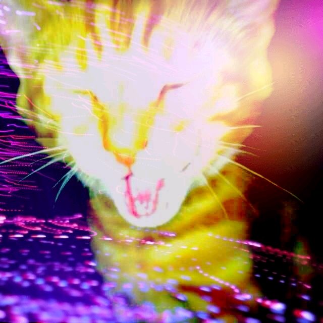 cinibr