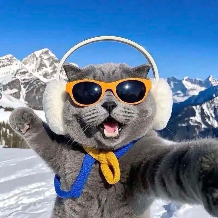 La Pépite tech👆🏼