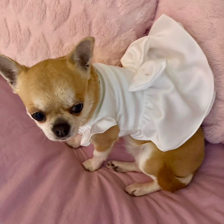 Cherie 🎀