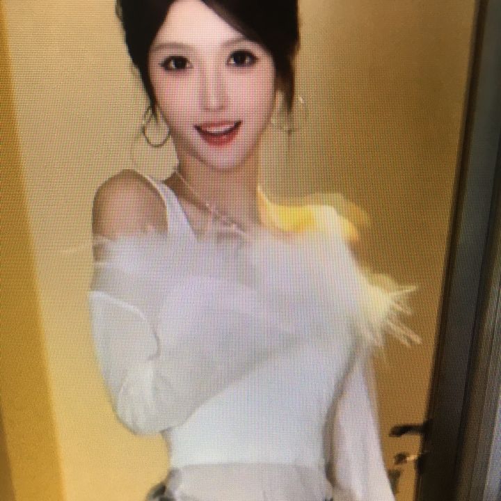 こねこのお気に入り 🐾