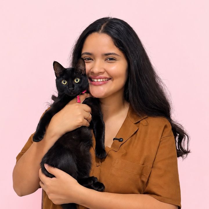 Cora a gatinha
