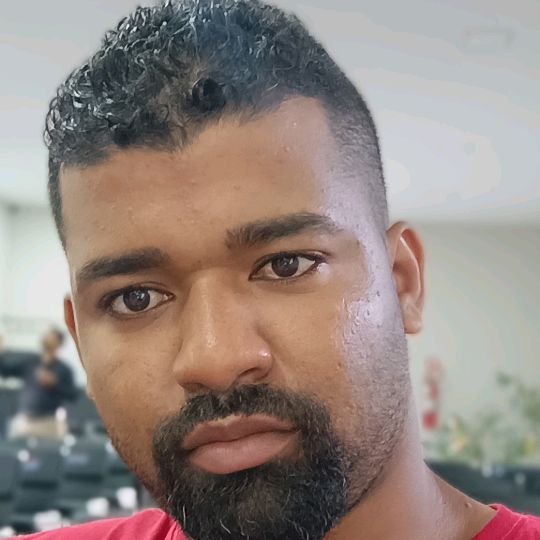 TIMÃO 🐗