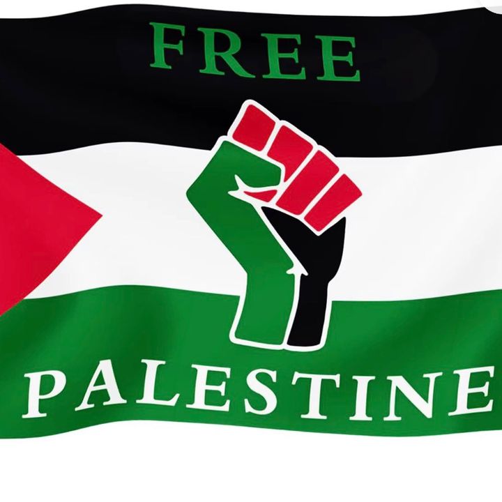 free palestine 🇵🇸