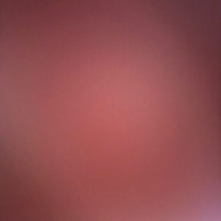 O mundo da Ju