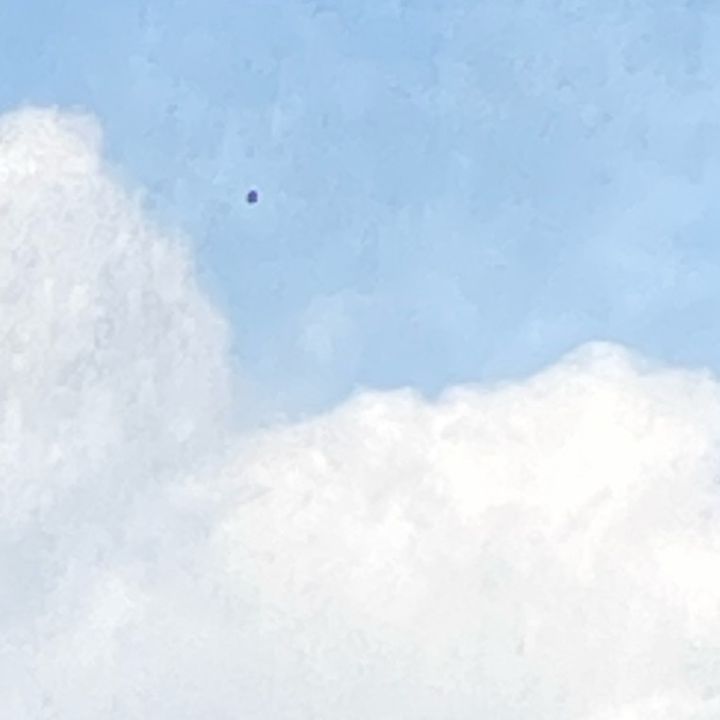 qwybygx66