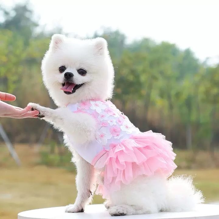 Floofden