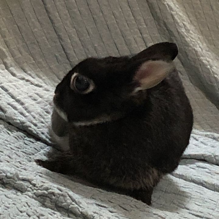 アイ