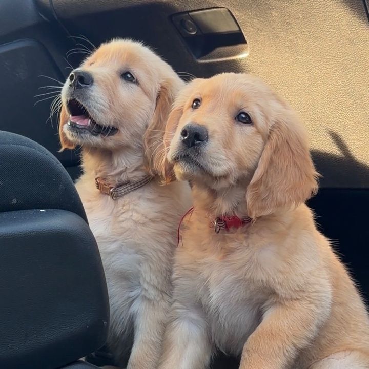 Ralph & Howie