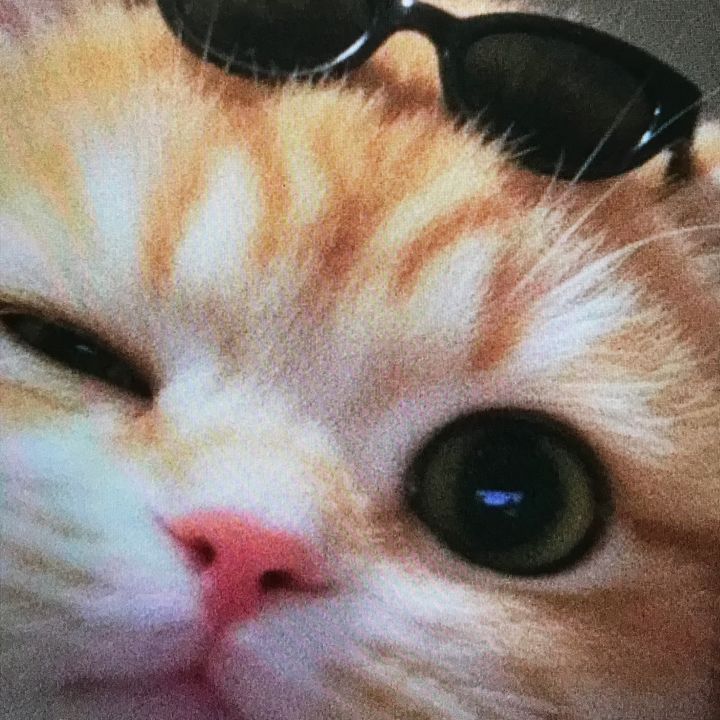 Hdudjd Jdudjd