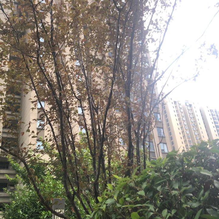 Ajshd