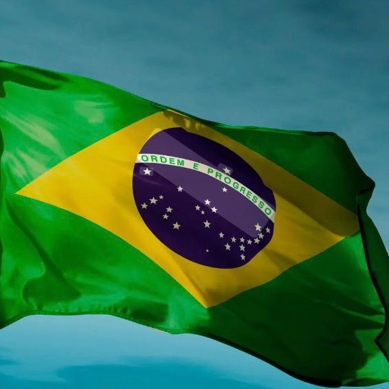 Patriotas Brasil 🇧🇷