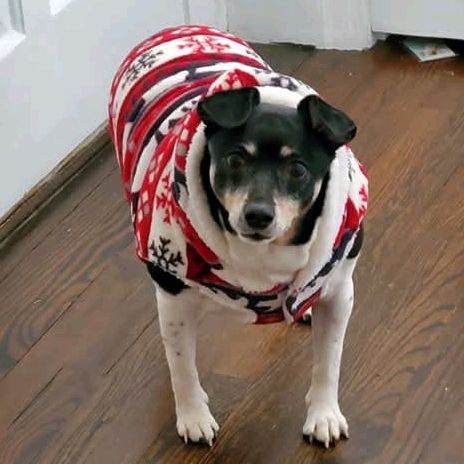 Augustus