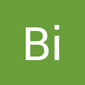 Bi Niu