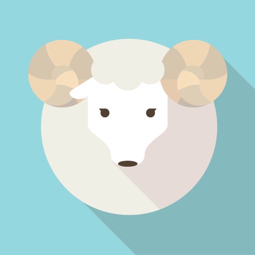きらりん