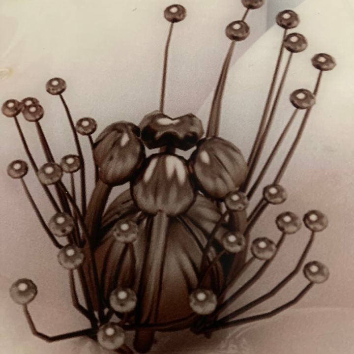 Bolmansmn