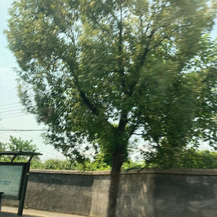 Nojrul