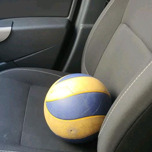 Simplemente Voleibol