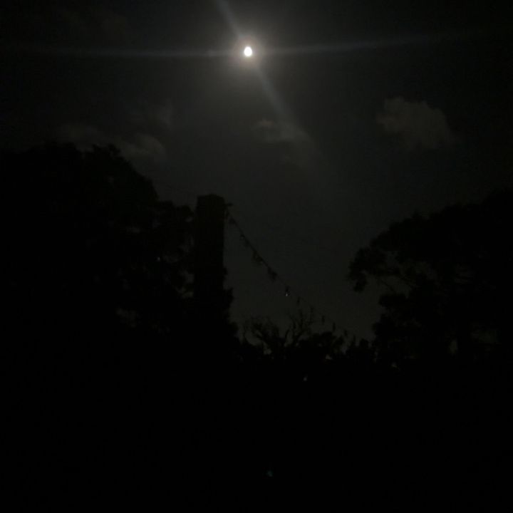 hgdkihscx