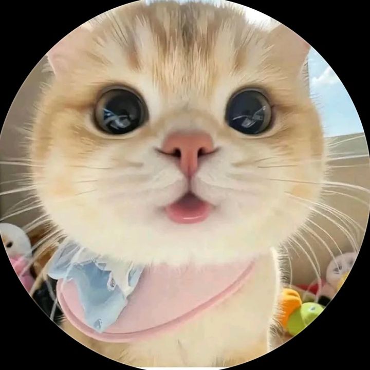 ke17bdbd