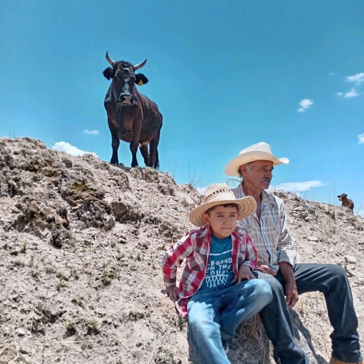 lavidaenelcampo86