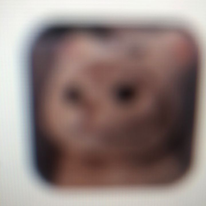 coliehekvw1