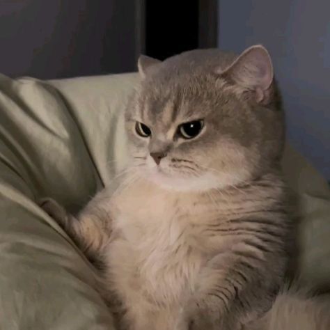 ป้ายยา🧺