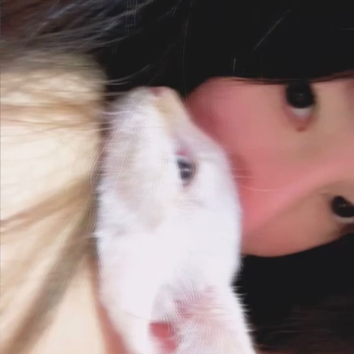 กุ๊ก กุ๊ก ก่าย