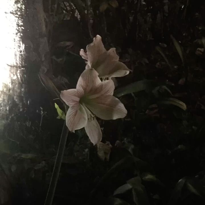 結 菜