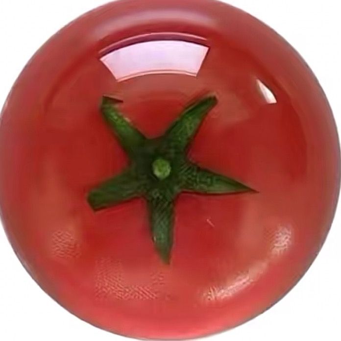 𐙚 ̊⋆𝙼🍅𝚒𝚕𝚍⋆ 𝚂𝚒 ִֶָ̊🪽་༘