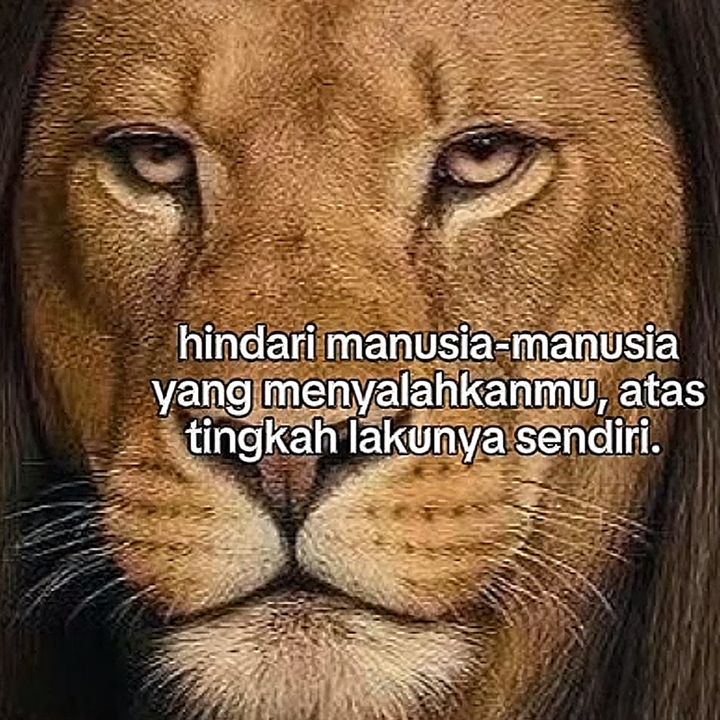 NVV