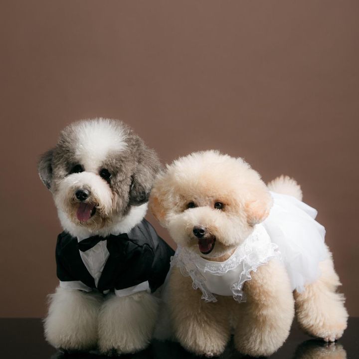 Đô&Rô