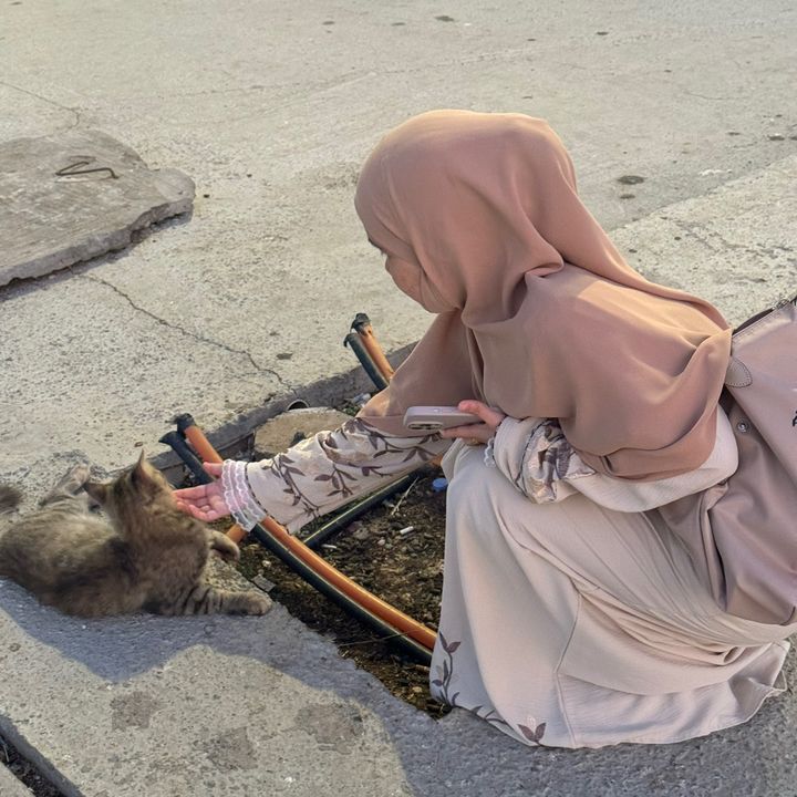 صفية