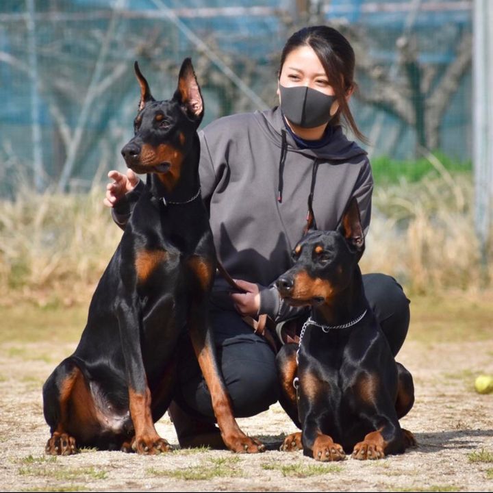 りえさん